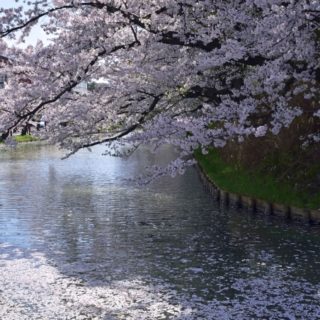 花筏 美し人 うましびと 一般社団法人 日本美術工藝協会